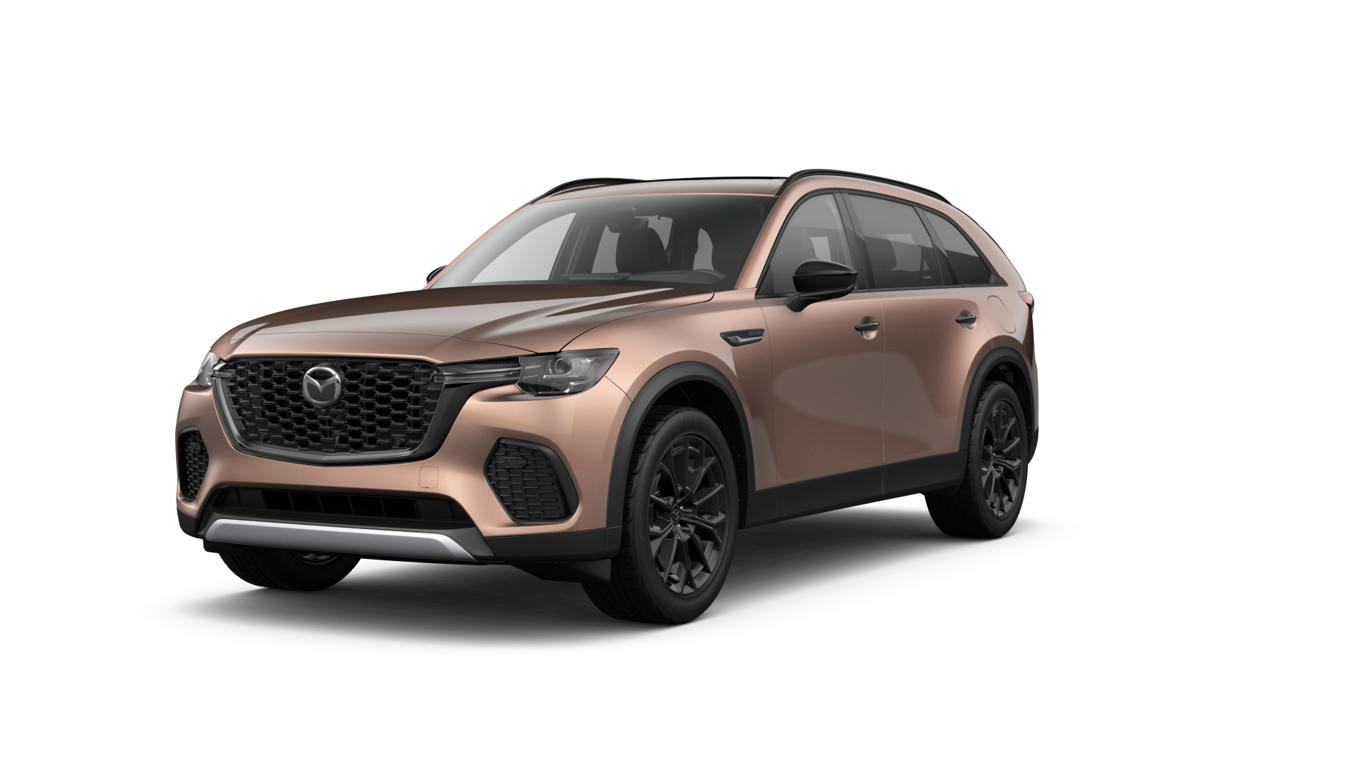 Premium PLUS trim