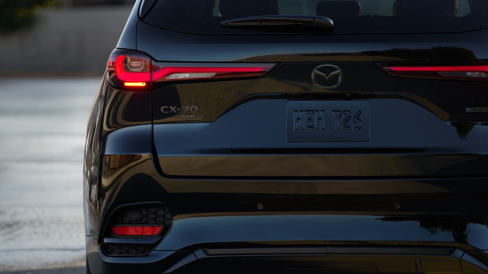 LUXURY / SPORT FEATURES