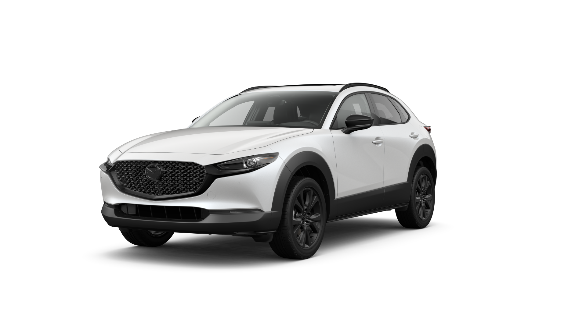 Turbo Premium Plus trim