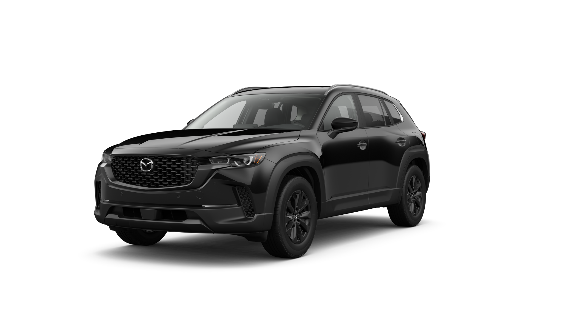 Premium Plus trim